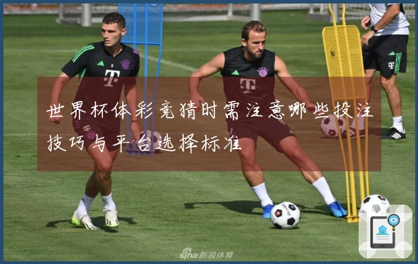 世界杯体彩竞猜时需注意哪些投注技巧与平台选择标准