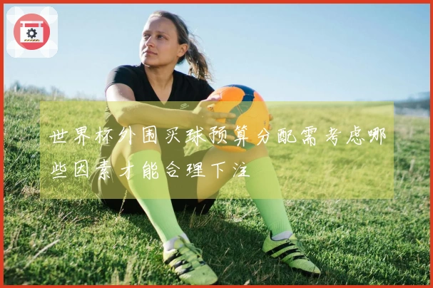 世界杯外围买球预算分配需考虑哪些因素才能合理下注