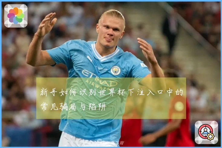新手如何识别世界杯下注入口中的常见骗局与陷阱