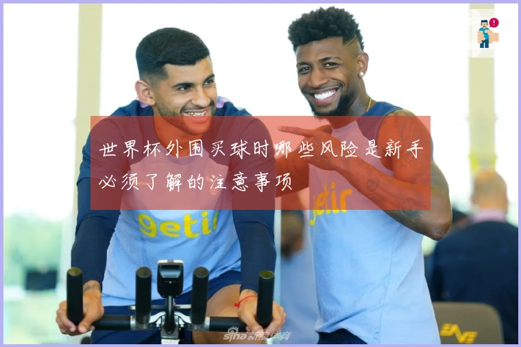 世界杯外围买球时哪些风险是新手必须了解的注意事项
