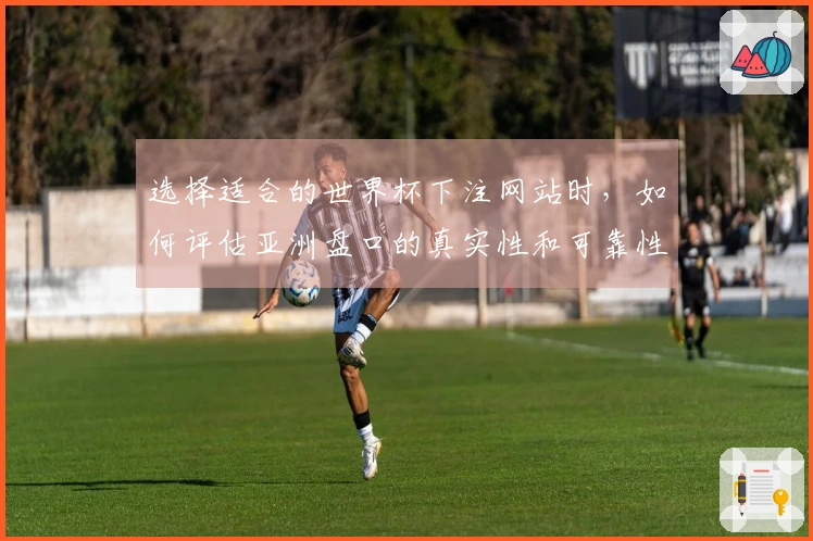 选择适合的世界杯下注网站时，如何评估亚洲盘口的真实性和可靠性？