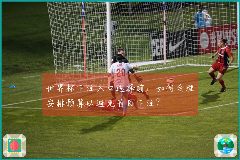 世界杯下注入口选择前,如何合理安排预算以避免盲目下注?