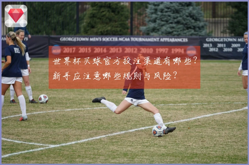 世界杯买球官方投注渠道有哪些？新手应注意哪些规则与风险？