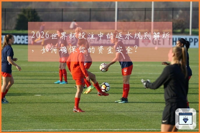 2026世界杯投注中的返水规则解析，如何确保你的资金安全？