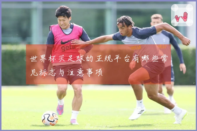 世界杯买足球的正规平台有哪些常见标志与注意事项
