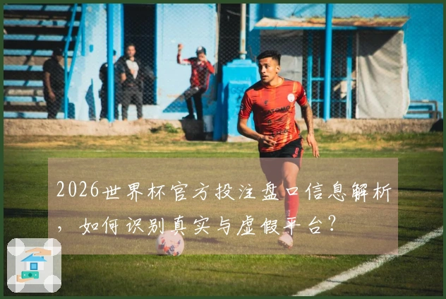 2026世界杯官方投注盘口信息解析，如何识别真实与虚假平台？