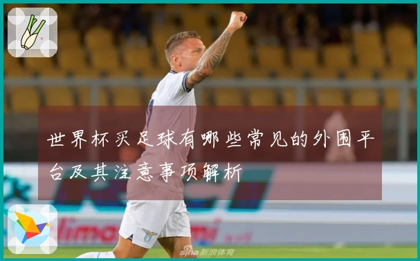 世界杯买足球有哪些常见的外围平台及其注意事项解析