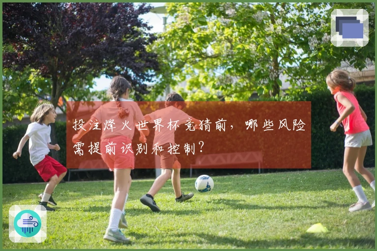 投注烽火世界杯竞猜前，哪些风险需提前识别和控制？