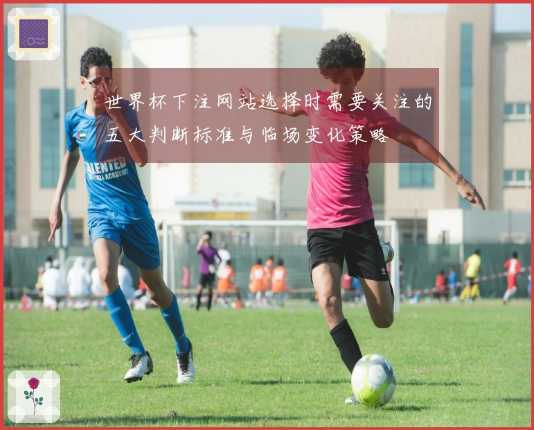 世界杯下注网站选择时需要关注的五大判断标准与临场变化策略