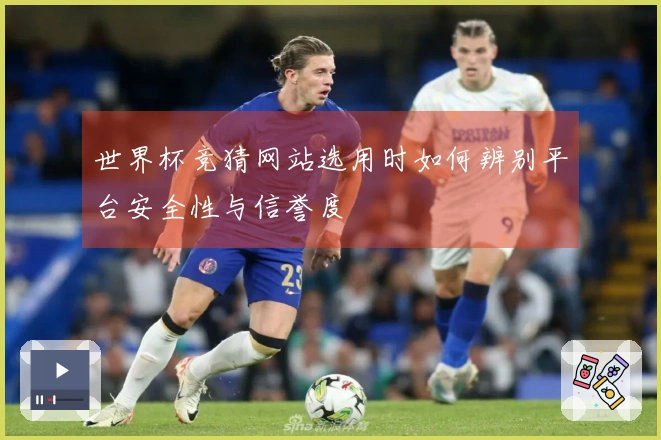 世界杯竞猜网站选用时如何辨别平台安全性与信誉度