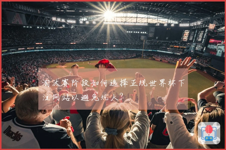 淘汰赛阶段如何选择正规世界杯下注网站以避免坑人？