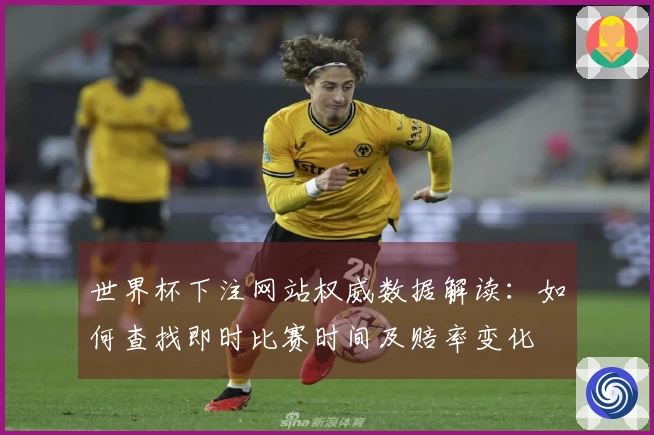 世界杯下注网站权威数据解读：如何查找即时比赛时间及赔率变化