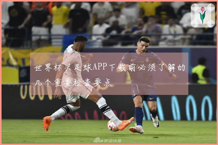 世界杯买足球APP下载前必须了解的几个重要检查要点