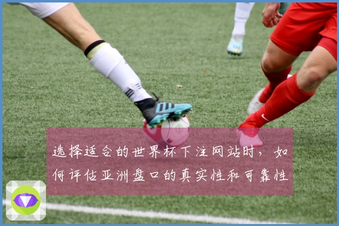 选择适合的世界杯下注网站时，如何评估亚洲盘口的真实性和可靠性？