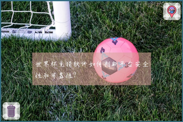 世界杯竞猜软件如何判断平台安全性和可靠性？