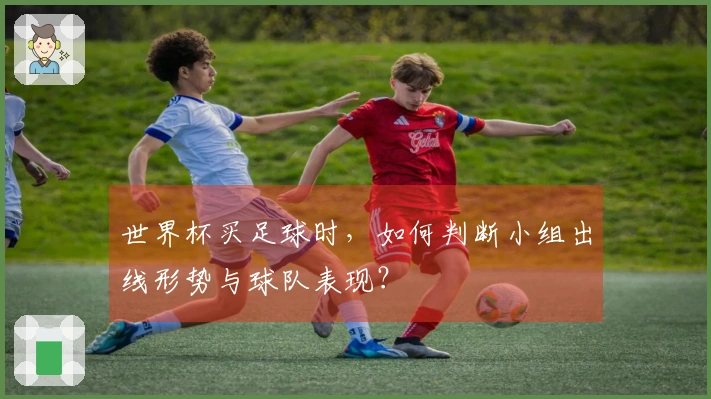 世界杯买足球时，如何判断小组出线形势与球队表现？