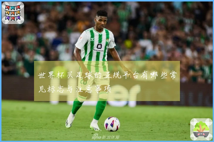 世界杯买足球的正规平台有哪些常见标志与注意事项