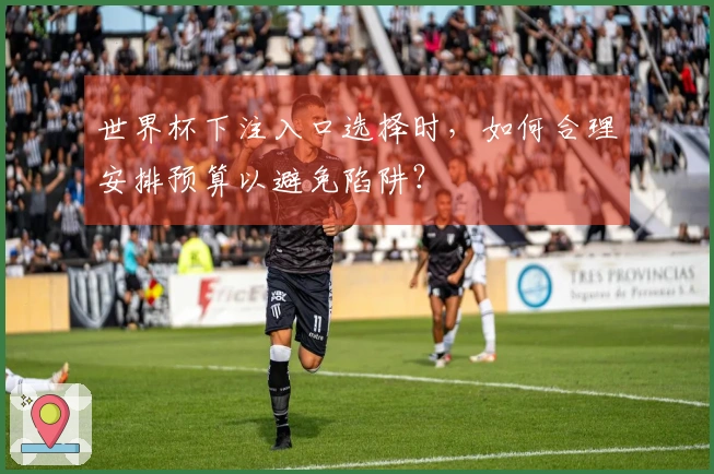世界杯下注入口选择时，如何合理安排预算以避免陷阱？