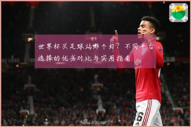 世界杯买足球站哪个好？不同平台选择的优劣对比与实用指南