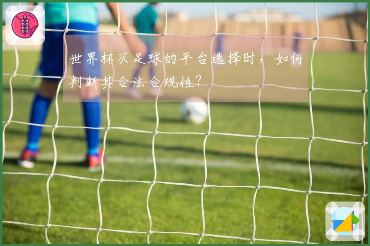 世界杯买足球的平台选择时,如何判断其合法合规性?