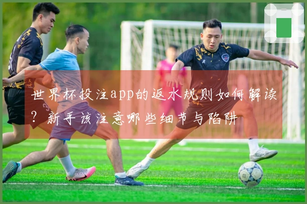世界杯投注app的返水规则如何解读？新手该注意哪些细节与陷阱